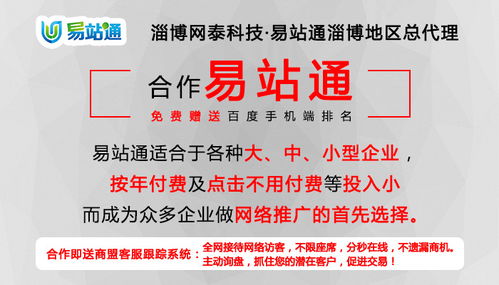 臨淄網(wǎng)絡(luò)推廣服務(wù)專家 淄博網(wǎng)泰科技引領(lǐng)企業(yè)數(shù)字化轉(zhuǎn)型